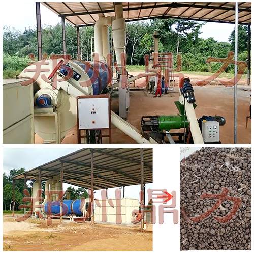 有機肥制粒生產線