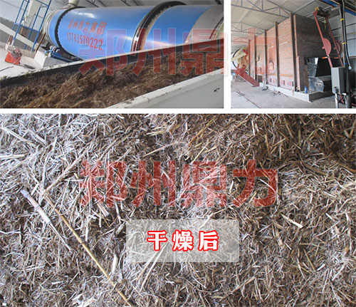 甜高粱秸稈烘干機生產現場