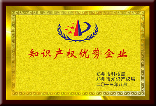 知識產權優勢企業證書
